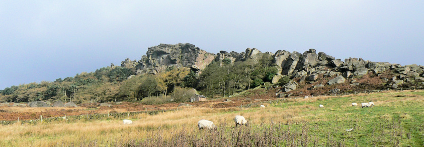 The Roaches The Roaches